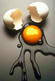 egg_broken_yolk (1).jpg